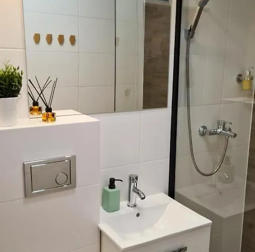 公寓 Apartament Rycerski 马尔堡