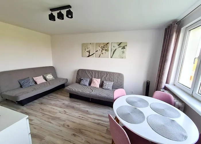 Apartament Rycerski 公寓 *